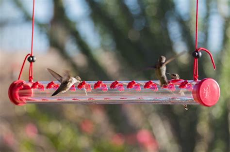 Horizontal Bar-Shaped Hummingbird Feeder - With 22 Nectar Ports – We ...