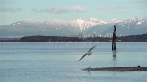 Burnaby BC Skyline Across Boundary Bay 4K UHD Stock Footage - Video of ...