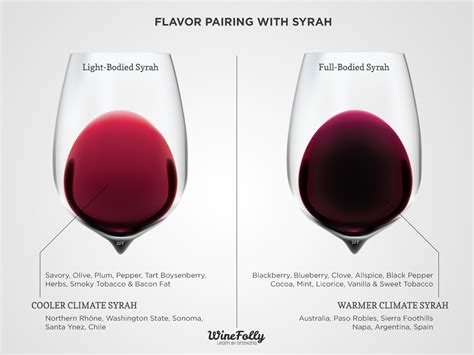 Syrah Food Pairing Advice | Wine Folly