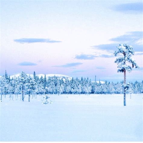 Swedish Lapland | Akvareller