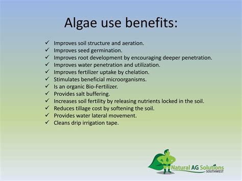 PPT - ALGAE PowerPoint Presentation, free download - ID:2177897