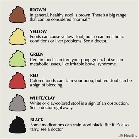 poop stool color changes color chart and meaning healthy concept stock ...