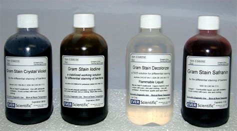 Gram Stain Kit - Flip Top Caps | Weber Scientific