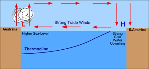 7(z) El Nino, La Nina and the Southern Oscillation