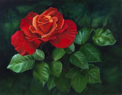 Oil Paintings Of Roses