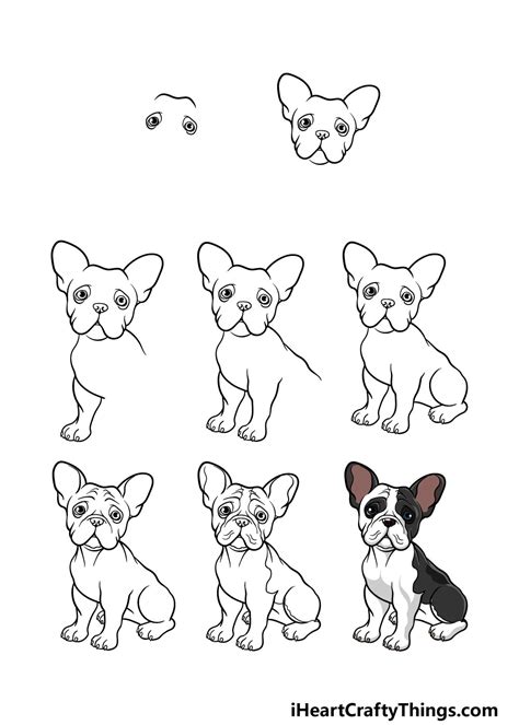 French Bulldog Drawing - How To Draw A French Bulldog Step By Step