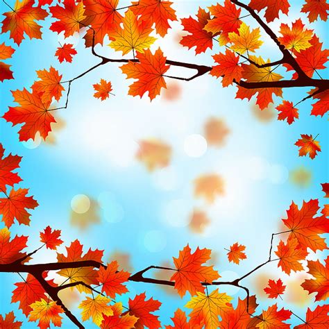 Autumn Maple Leaf Wallpaper