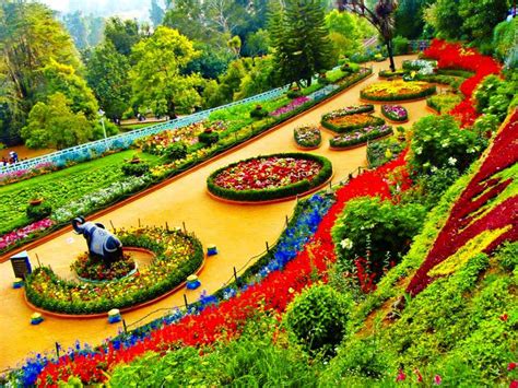 Botanical Garden ooty | Ootacamund (Ooty)