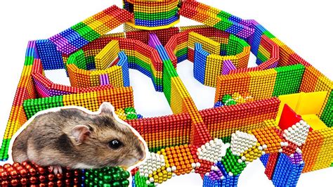 DIY - Build Amazing Hamster Maze Labyrinth With Magnetic Balls ...