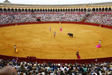 Spectator Tips for Bullfighting in Seville, Spain