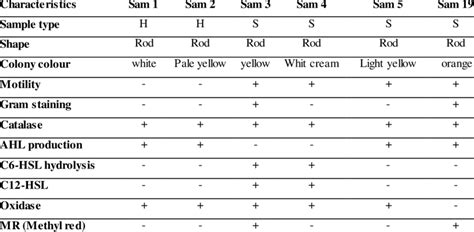 Morphological and biochemical characterization of bacteria | Download ...