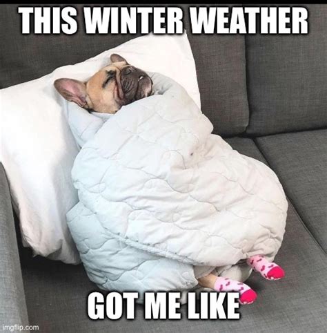 The Funniest Snow Memes to Get You Through Winter - Lola Lambchops