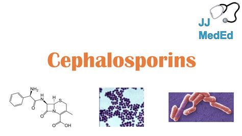 Cephalosporin Mechanism Of Action - cloudshareinfo