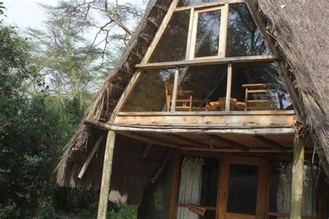 15 STUNNING Eco Lodges in Kenya [2024 Edition]