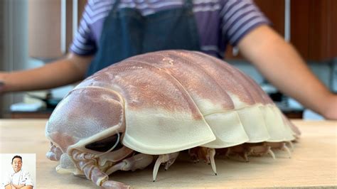 GRAPHIC: LIVE GIANT Isopod Fried Rice | Real Life Pokemon Kabuto ...