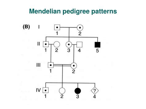 PPT - Lesson 2 Monogenic disorders Mendelian inheritance PowerPoint ...