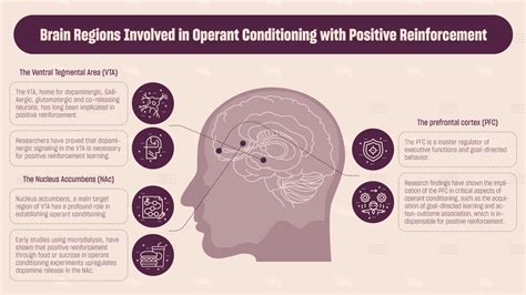 Positive Reinforcement Using Operant Conditioning - Maze Engineers