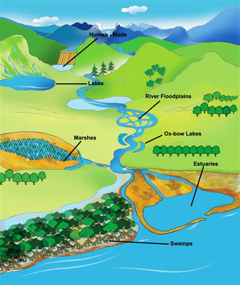 Wetlands of India Portal