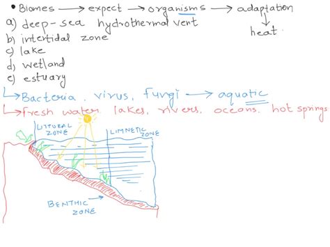 SOLVED: Which one of the following biomes would you expect to find ...