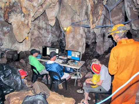 Homo naledi: skull of archaic human excavated from the Cradle of Mankind