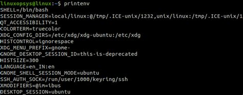 List and Set Environment Variables in Linux