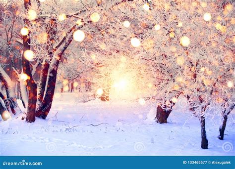 Winter Forest With Colorful Snowflakes. Snow Covered Trees With ...