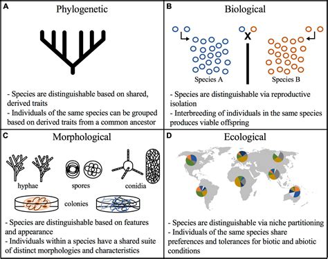 Frontiers | Improving Taxonomic Delimitation of Fungal Species in the ...