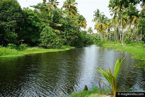 Alappuzha (Alleppey) and its romantic backwaters - MAGIK INDIA