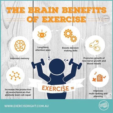 Brain Benefits of Exercise - Sydney Sports and Exercise Physiology