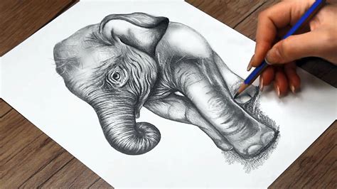 How To Draw Realistic Baby Animals