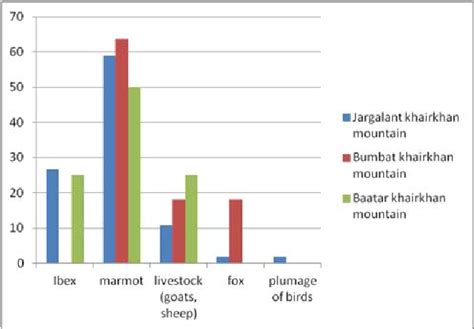 Snow Leopard Population Graph