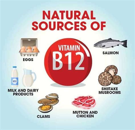 The Importance and Best Sources of Vitamin B12 - CKS Hospitals