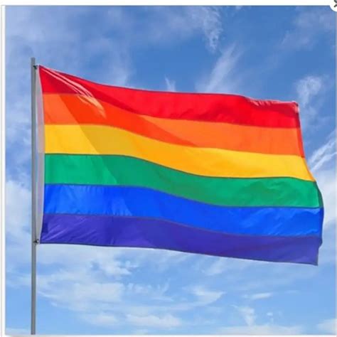 Dainty Rainbow Flag Durable Big Polyester Lesbian Gay Pride Symbol LGBT ...