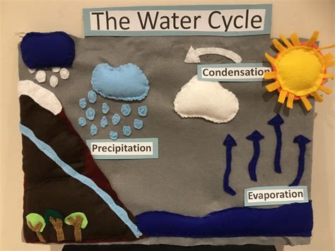 Felt Water Cycle | Water cycle, School science projects, Science projects