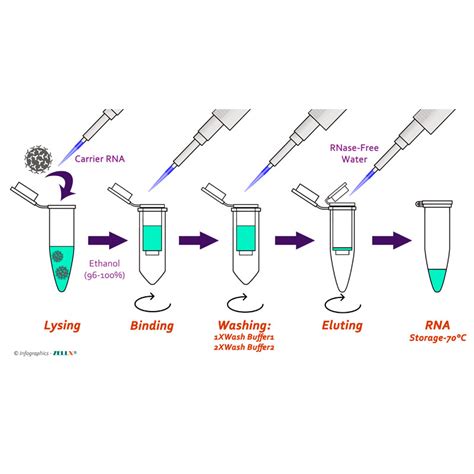 Viral RNA extraction Kit - ZellBio GmbH