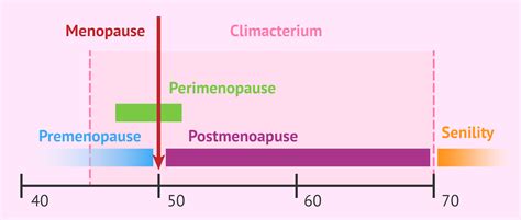 The different stages of menopause