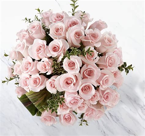 Delighted Luxury Rose Bouquet - 48 Premium Long-Stemmed Roses in ...