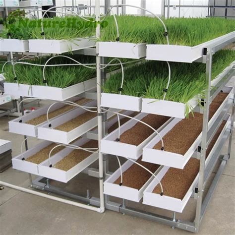 Plastic Pvc Fodder Trays For Hydroponic System - Buy Hydroponic Fodder ...