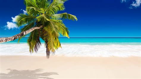 Tropical Beach Wallpaper - WallpaperSafari