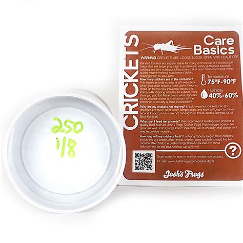 Banded Crickets - 1/8", 250 Count | Petco