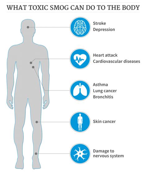 Causes and Effects of Toxic Smog | Air-Pollution.in