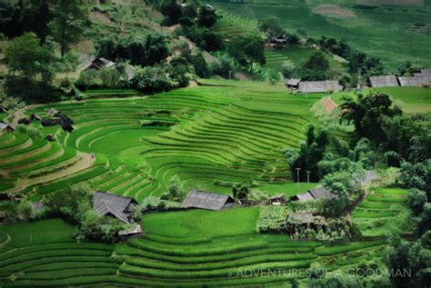 Rolling Rice Fields in Sapa, VietNam » Greg Goodman: Photographic ...