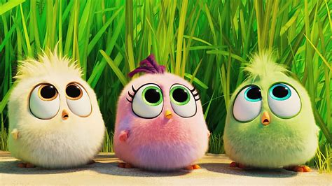 Angry Birds Cute Wallpapers - Wallpaper Cave