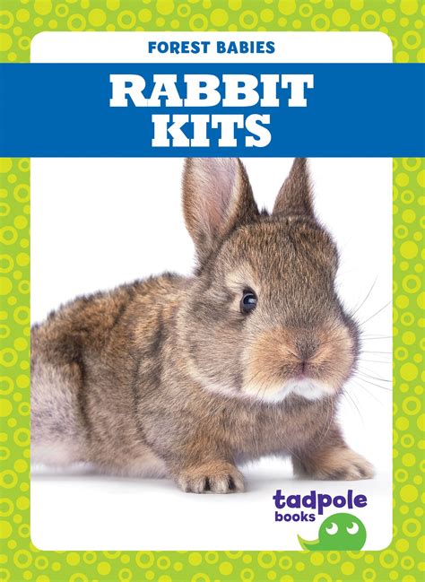 Rabbit Kits - Walmart.com - Walmart.com