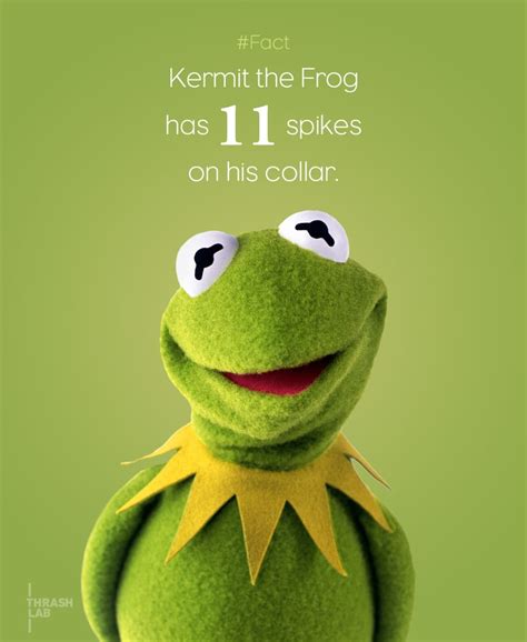 Quotes By Kermit The Frog. QuotesGram