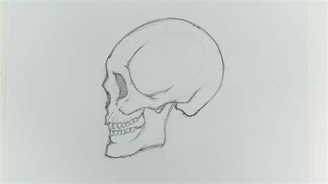 How to Draw a Skull (with Pictures) - wikiHow