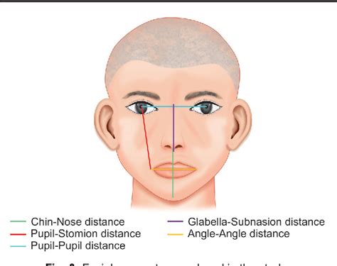 Figure 3 from Clinical Reliability of Different Facial Measurements in ...