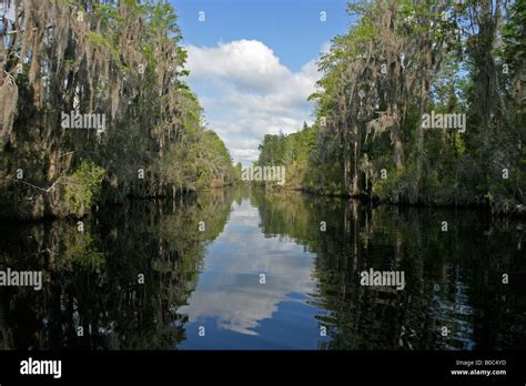 Okefenokee National Wildlife Refuge swamp Stock Photo - Alamy