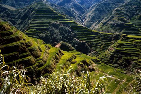 Banaue Rice Terraces - Nehru Memorial