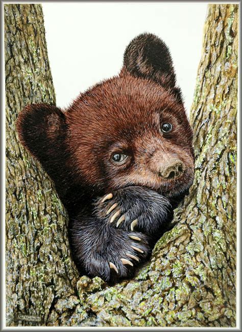 Painting a realistic watercolor bear, complete tutorial - The Devon Artist